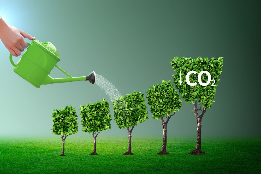 Ministry of Foreign Affairs: China will complete the world's largest carbon intensity reduction in the shortest time in history